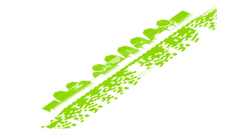 07 green